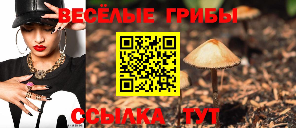 Галлюциногенные грибы Psilocybine cubensis  Вход с VPN  Богданович 