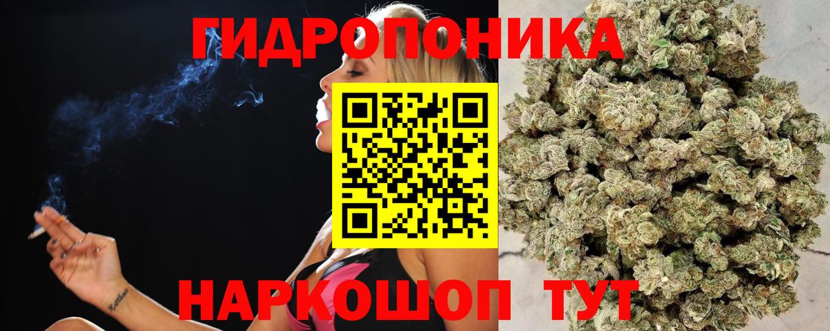 Бошки марихуана VHQ Богданович